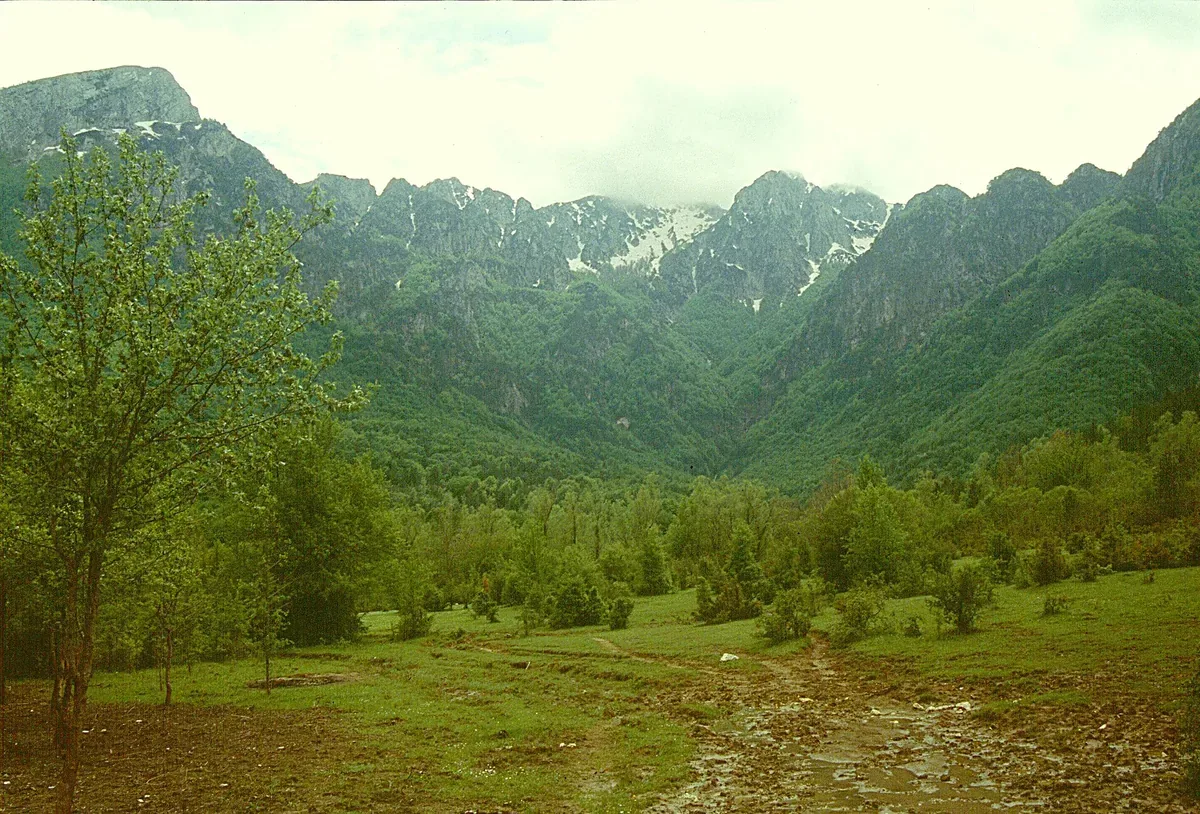Dentro il Parco nazionale d'Abruzzo